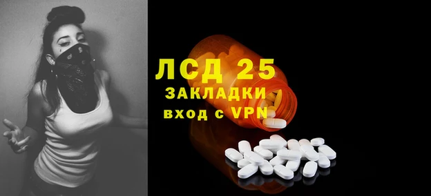 трава Магас