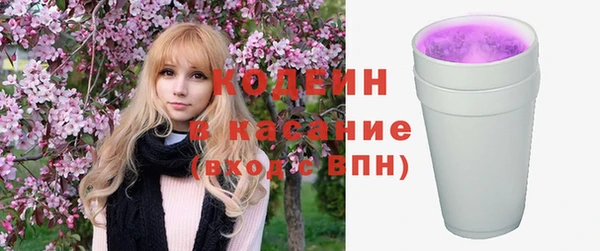 крисы Ачинск
