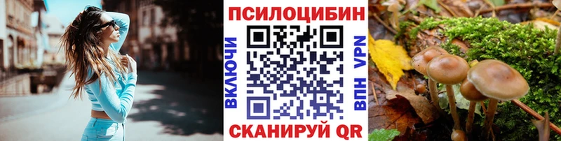 Псилоцибиновые грибы Magic Shrooms Якутск