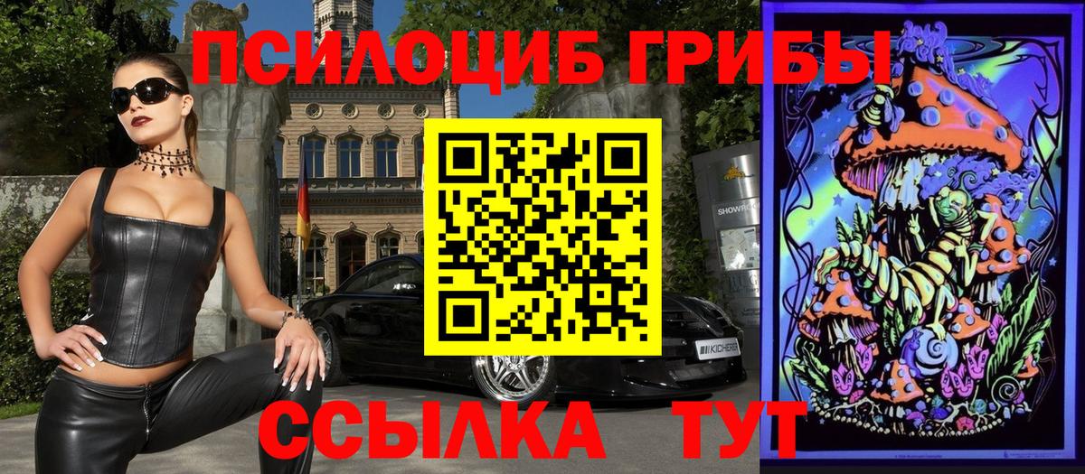 Галлюциногенные грибы Cubensis  хочу   Якутск  Вход с VPN 